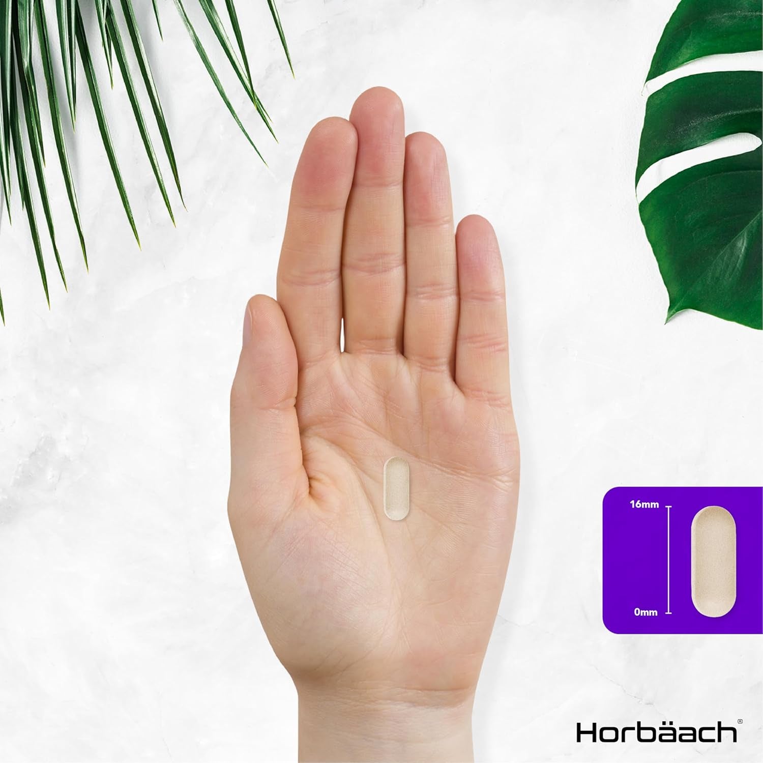 Candida Support | 1 Billion CFU | Botanical & Live Culture Formula with Oregano, Zinc, Garlic, Lactobacillus & More! | 180 Vegan Tablets | by Horbaach