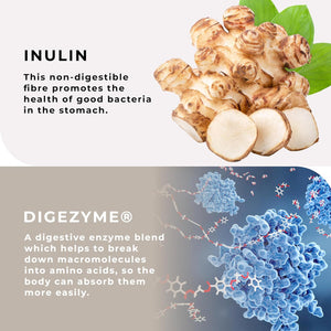 Multispore® plus Probiotics, 4 Month Supply - 120 Capsules, Bacillus Coagulans & Bacillus Subtilis Spore Based Probiotic, Bloating Relief/Gut Health, with Digestive Enzymes & Prebiotic Inulin, UK Made