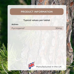 Healthspan Pycnogenol 30Mg (60 Tablets) | French Maritime Pine Bark Extract | Providing Naturally Powerful Bioflavonoids | No Pesticides and No Herbicides | Vegan