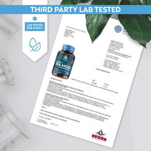 High Strength Sea Moss 4000Mg Capsules (180 Count) - Natural Source of Iodine - Wild Harvested - Vegan Friendly (3 Months Supply) - GMO Free, Gluten-Free, Made in the UK