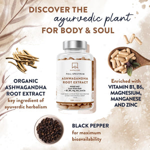 Ashwagandha KSM 66 -1000Mg (Highly Concentrated 10:1 Extract Ratio Equivalent to 10,000Mg per Serving)Of Which 5% Withanolides-With Vitamin B6, B1, Zinc, Magnesium & Manganese-120 Ashwagandha Capsules