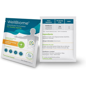 Prebiotic Fibre Complex for Gut Health by Wellbiome – Probiotic Support, Digestive Wellness, Immune System Support – Magnesium for Anxiety, Mood & Energy – 30 Servings