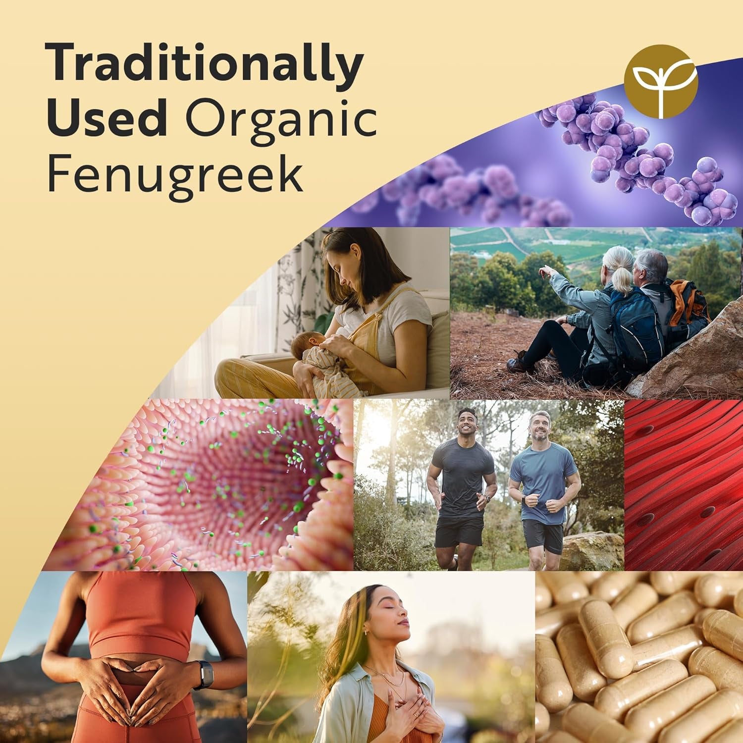 Organic Fenugreek Capsules - up to 8 Months of Supply and 2250Mg, 240 Capsules 100% Pure Fenugreek Powder - Soil Association Certified, Vegan Supplement, Made in the UK by Nutravita