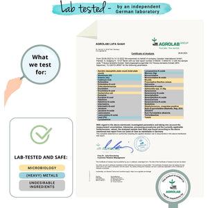 Vegavero Tribulus Terrestris 10,800 Mg | High Strength Extract | 1620 Mg Saponins per Serving | NO Additives, Lab-Tested | Stamina & Strength Support for Men & Women | 120 Capsules | Vegan