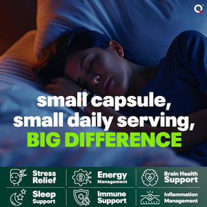 Organic Ashwagandha KSM-66 High Strength 7200Mg – 1-A-Day Calm Complex for Stress, Helps with Anxiety Relief and Restful Sleep – with Chamomile, Reishi, L-Theanine, Vitamin B6 – 60 Capsules