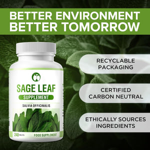 Sage Leaf Supplement | 240 Tablets | Salvia Officinalis Extract | Made in the UK | Vegan Friendly & Gluten Free (240)