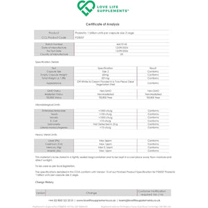 Multispore® plus Probiotics, 4 Month Supply - 120 Capsules, Bacillus Coagulans & Bacillus Subtilis Spore Based Probiotic, Bloating Relief/Gut Health, with Digestive Enzymes & Prebiotic Inulin, UK Made