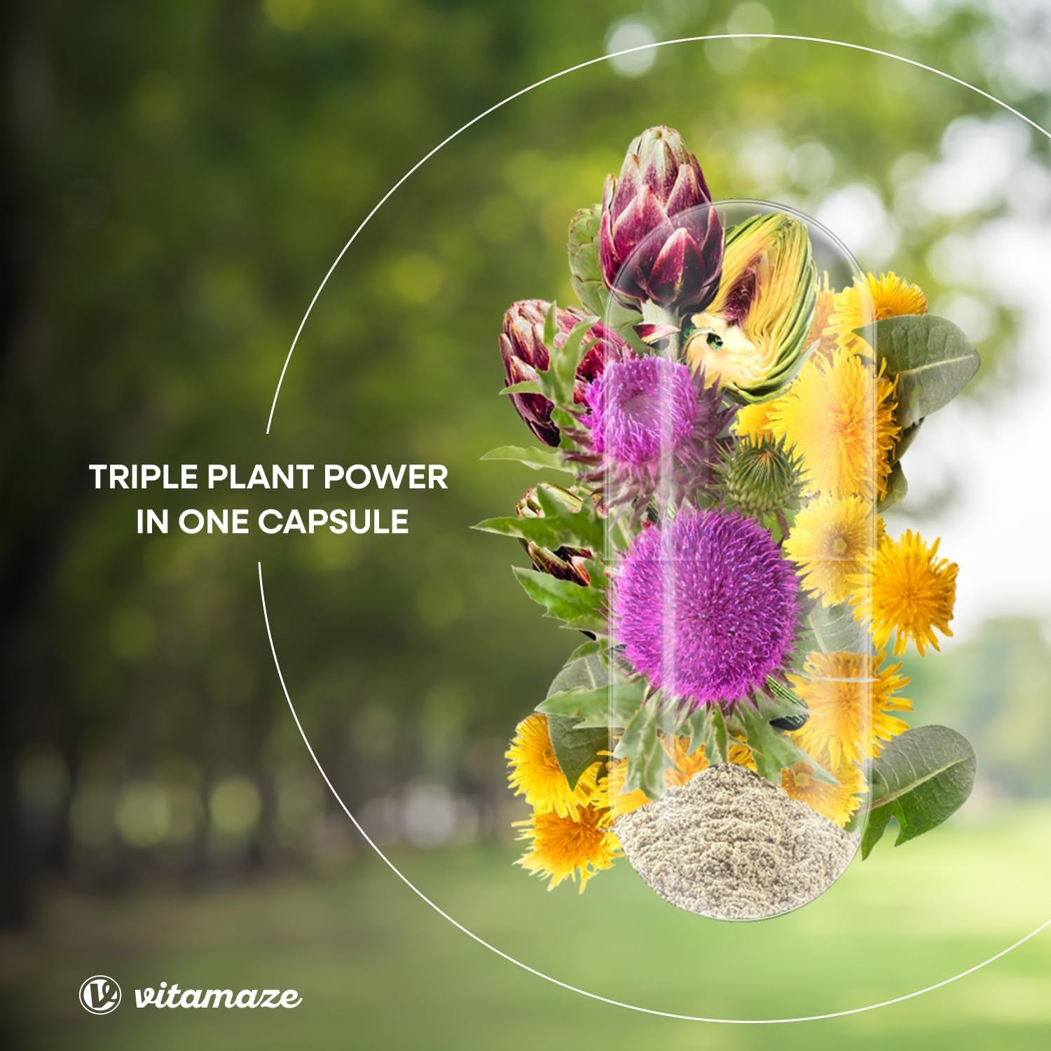 Milk Thistle High Strength 6000Mg (3 Months) with Dandelion & Artichoke, High Dose, 80% Silymarin Extract, Natural Liver Cleanse Supplement, 90 Vegan Capsules. Vitamaze®