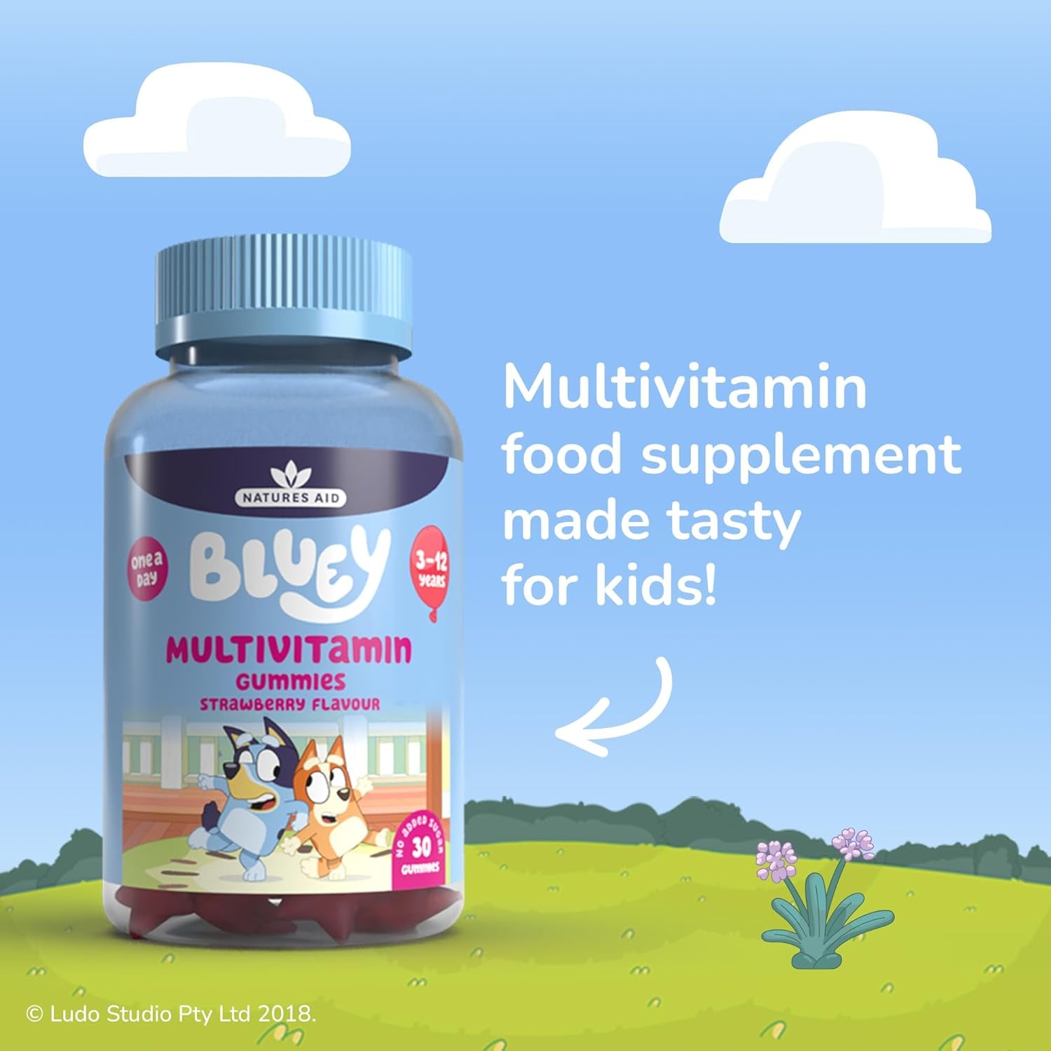 Bluey Kids Multivitamin Gummies - 14 Essential Vitamins & Minerals to Support Growing Bodies, Immunity & Tiredness - Strawberry, No Added Sugar, Vegan, Gluten Free - 30 Gummys for Children Ages 3-12
