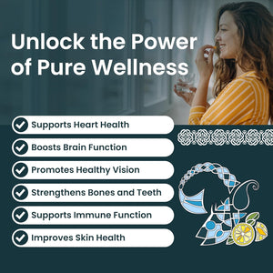 ARMORICA Fermented Cod Liver Oil | Cold-Processed & Naturally Enriched | Omega-3, Antioxidants, and Vitamins a & D | Made in the UK (Unflavoured) (120 Capsules)