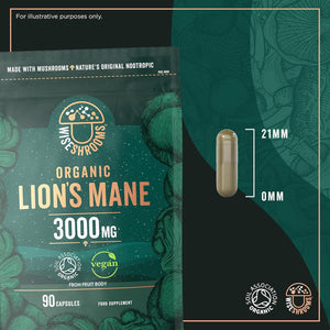 Organic Lions Mane Supplement 3000Mg | High Strength Mushroom Supplement | from Fruit Body | 90 Vegan Capsules | by Wiseshrooms