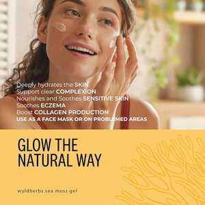 Wyld Herbs All-Natural Turmeric & Ginger Infused Sea Moss Gel | 100% Wildcrafted Sea Moss | Superfood Rich in Minerals, Proteins & Vitamins - Vegan & Gluten Free 300ML