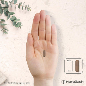 Reishi Mushroom Capsules 10,000Mg | Red Reishi Extract (5:1) | High Strength Supplement | 100 Powder Capsules | by Horbaach