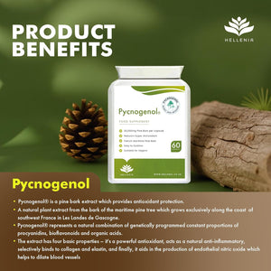 Pycnogenol 30Mg (60 Capsules) | French Maritime Pine Bark Extract | Providing Naturally Powerful Bioflavonoids | High Bioavailability Suitable for Vegans - Made in the UK by Hellenia