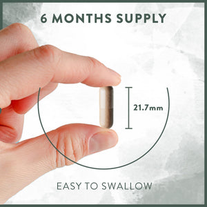 Ginkgo Biloba High Strength -7500Mg (50:1 Extract) + Bacopa Monnieri, Ginseng and Ginkgo Biloba Herbal Supplements + VIT B6, B1, B2, & Zinc -180 Nootropic Ginkgo Biloba Capsules - Packed W/Flavonoids