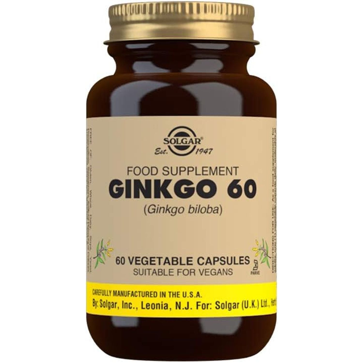Solgar Ginkgo Vegetable Capsules - Pack of 60 - Premium Botanical Extract - Antioxidant Properties to Help Fight Free Radicals - Supports Mental Alertness - Vegan