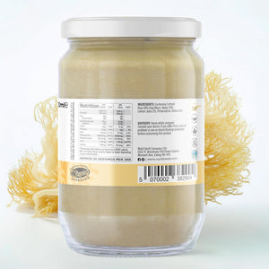 Wyld Herbs All-Natural Organic Sea Moss Gel | 100% Wildcrafted Dr Sebi Sea Moss | Superfood Rich in Minerals, Proteins & Vitamins - Vegan & Gluten Free Sourced from the Caribbean 720ML