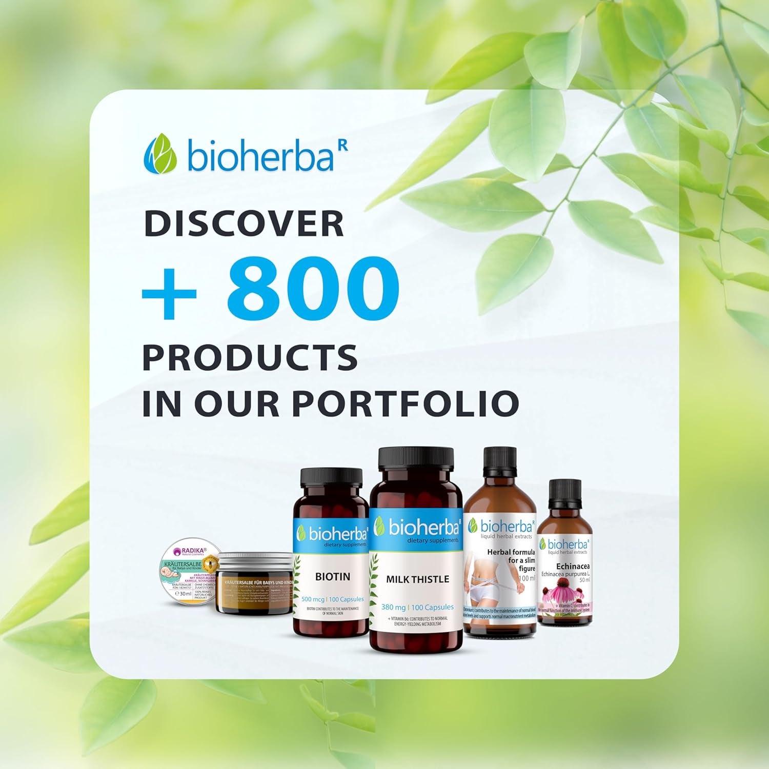 Milk Thistle 380 Mg – 100 Capsules | Herbal Supplement with Silymarin and Vitamin B6 for Antioxidant and Metabolic Support by BIOHERBA