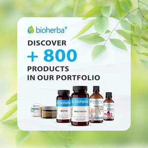 Milk Thistle 380 Mg – 100 Capsules | Herbal Supplement with Silymarin and Vitamin B6 for Antioxidant and Metabolic Support by BIOHERBA