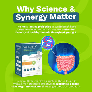 Prebiotic Fibre Complex for Gut Health by Wellbiome – Probiotic Support, Digestive Wellness, Immune System Support – Magnesium for Anxiety, Mood & Energy – 30 Servings