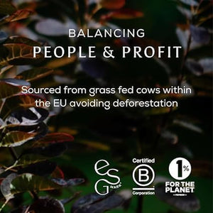 Ancient + Brave True Collagen 200G - Grass-Fed Bovine Collagen Powder - 100% Hydrolysed Collagen Peptides (Type 1) - High Protein, Fasting, Keto - Anti-Ageing, Skin, Hair & Nail Health