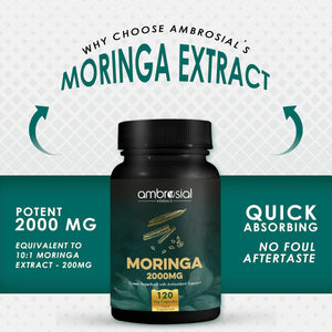 Ambrosial Moringa Capsules 2000Mg | Moringa Leaf Extract | Plant-Based Herbal Supplement | Natural Wellness Support | 120 Vegan Capsules