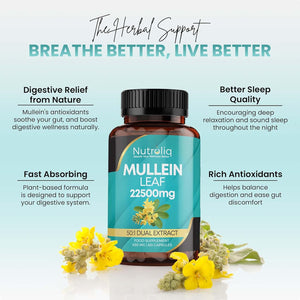 Nutroliq Mullein Leaf 50:1 Extract - Vegan, Non-Gmo Digestive Wellness & Sleep Support Supplement, 450Mg per Capsule, 60 Capsules (2-Month Supply)