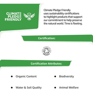 Mushroom Complex 8 | Organic | EU Grown | 616Mg Capsules | Lions Mane, Cordyceps, Chaga, Shiitake, Reishi, Maitake, Coprinus & Oyster Betox93® | 40% Polysaccharides