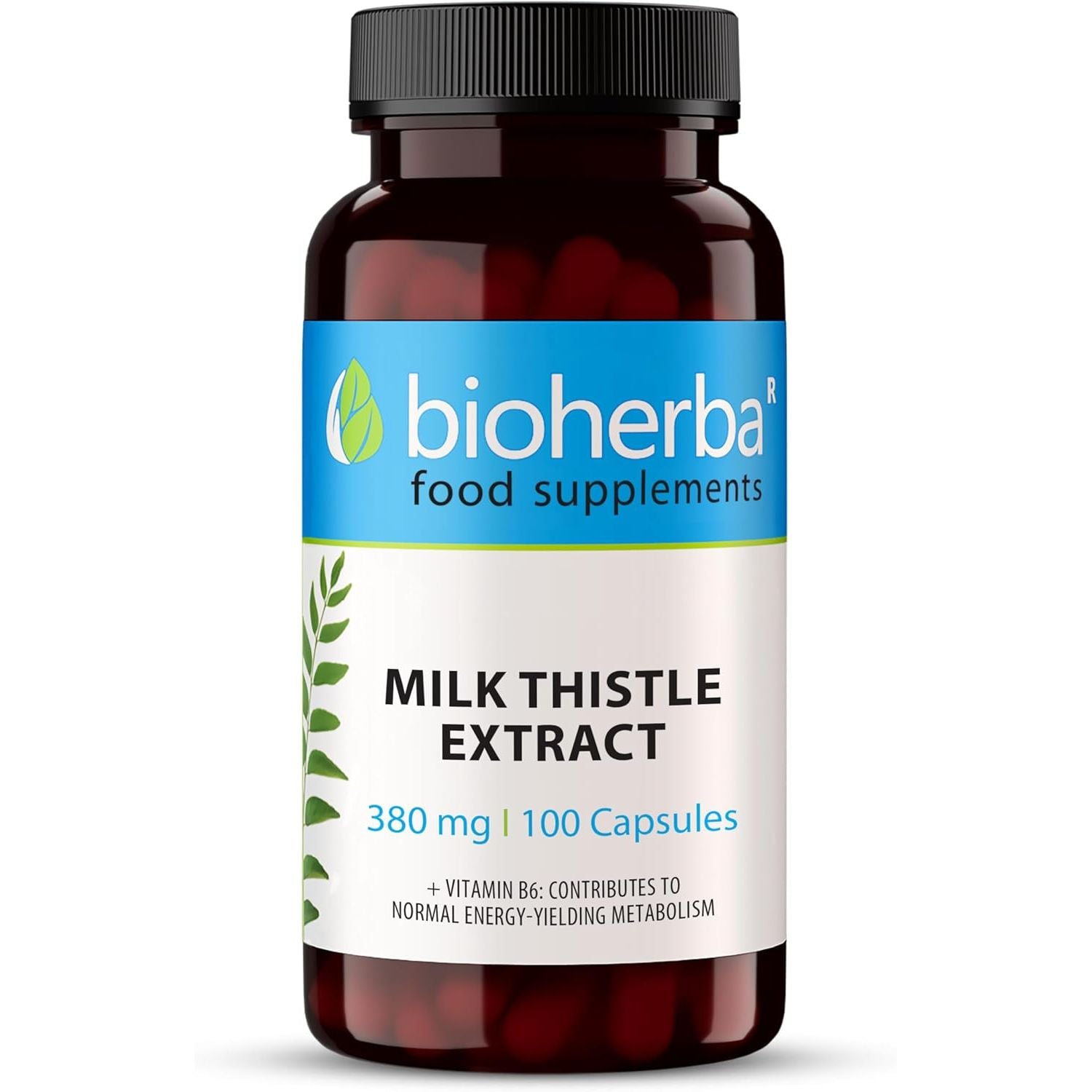 Milk Thistle 380 Mg – 100 Capsules | Herbal Supplement with Silymarin and Vitamin B6 for Antioxidant and Metabolic Support by BIOHERBA