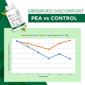 Plantonin Palmitoylethanolamide Pea Supplement Plus, 600Mg 120 Capsules | High Strength Luteolin Supplement Supports Joint Mobility, Calmness & Nerve Health – Vegan Capsules - Made in New Zealand