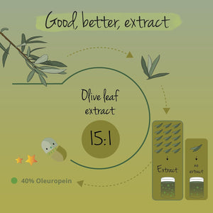 Vegavero Olive Leaf 7500 Mg | Highest Strength 40% Oleuropein | 15:1 Extract from Spanish Olive Leaves | NO Additives, Lab-Tested | 90 Capsules | Vegan