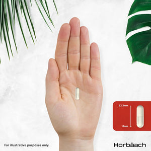 L-Arginine Supplement 1800Mg | 120 Vegan Capsules | High Strength Amino Acids Capsules for Pre and Post Workout | Keto Diet Friendly | by Horbaach