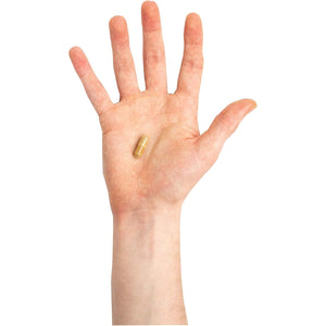 Troo Health Care Green Tea Extract Supplement (12,480Mg) - 90 Capsules - Providing Polyphenols, Catechins and EGCG - UK Manufactured to GMP Standards