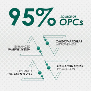 Ambrosial Grape Seed Extract Capsules | 95% Opcs Polyphenols | High Strength Grape Seed Supplement | Strong Antioxidant | Pack of 1-120 Vegan Capsules