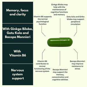 Ginkgo Biloba High Strength by Nutraking (32 Day Supply) - Brain Supplement for Focus with Ginkgo Biloba (500Mg - 24% Flavonoids), Bacopa Monnieri (1200Mg), Choline (50Mg), Rosemary Leaf (250Mg)