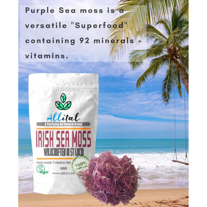 Purple Sea Moss - Raw Wildcrafted St Lucian, 100G Purple Irish Seamoss, Non GMO, Full of Minerals, Great for Smoothies, Soups, Salads…