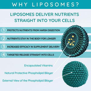 WELL ACTUALLY Liposomal Advanced Immune Support (25 Servings) with Vitamin C D3 K2 Zinc & Selenium - High Strength Liquid Liposomal Vitamin C Supplement for Immunity – Vegan & Sugar Free