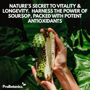 Organic Soursop Capsules | Full Spectrum 13500Mg 30:1 Extract per Serving | Potent Antioxidant & Immune Support - 60 Capsules