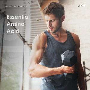 L-Tryptophan 220Mg with Bioperine® - 90 Vegan Capsules – Naturally Fermented L-Tryptophan Supplement with Black Pepper Extract for Increased Bioavailability - 3 Months Supply - by Alpha01