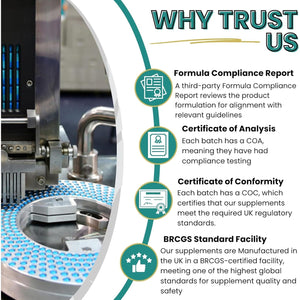 Noble Nature 267Mg Lions Mane + 250Mg Ashwagandha KSM 66 4-In-1 Formula – with 10Mg Zinc Bisglycinate and 1Mg Vitamin B1 Capsule Supplement – Adaptogens for Calm Brain, Stress, Mood, & Health (90)