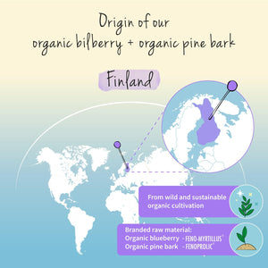 Vegavero Organic Bilberry 12,000 Mg & Pine Bark | from High Strength Extracts | Premium Quality from Finland | NO Additives | 90 Capsules | Vegan