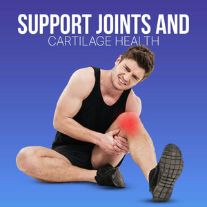 Novisyn+ Vegan Joint Care Supplement – Hip & Knee Joint Support for Men, Women - Hyaluronic Acid Joint Health Liquid 30-Day Supply by Fulcrum Health