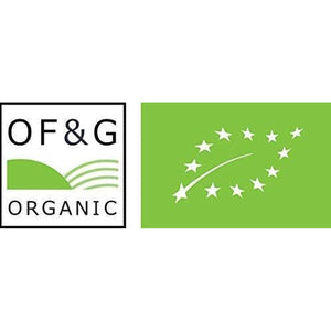 Pure Greens Superfood Powder 150G - Premium Organic Blend of 6 Plant Based Super Greens - Vegan & Gluten Free - Vitamin Fibre & Mineral Rich Formula - Made in the UK