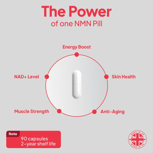 Wish Fusion NMN & Resveratrol 500Mg, NAD+ Level Support Longevity, Cellular Energy & DNA Repair, NMN Supplements UK for anti Aging, 90 Vegan Capsules