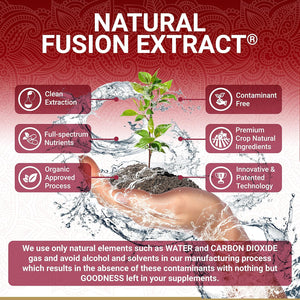 Organic Pomegranate Capsules - Pomegranate Supplements | Certified Organic by Soil Association | Vegetarian & Vegan Friendly | Ayurveda | 60 Easy Swallow Pomegranate Tablets | Manufactured in the UK