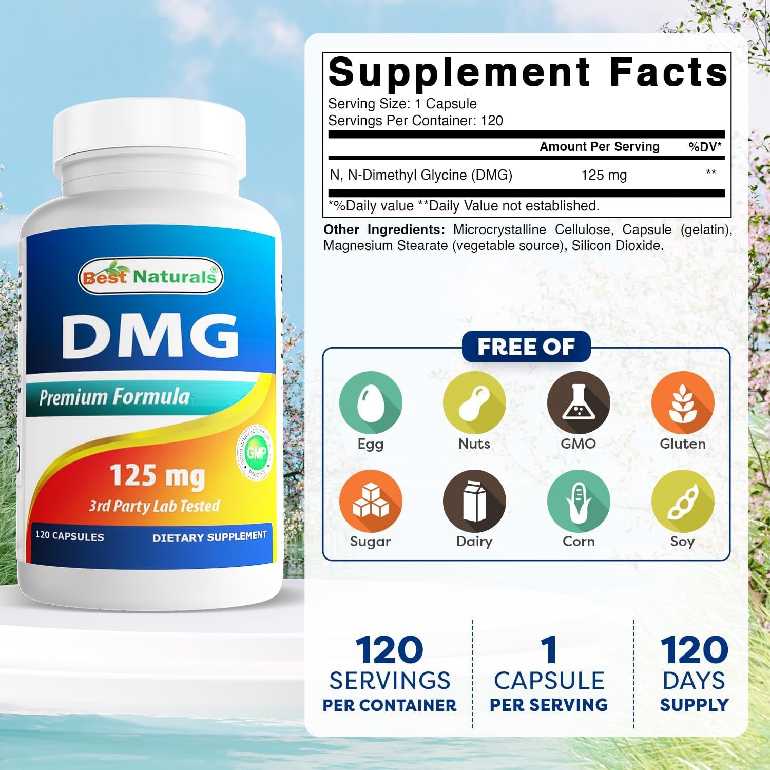 Best Naturals DMG 125 Mg 120 Capsules (120 Count (Pack of 1))