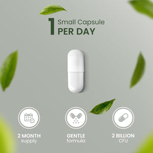 Advanced Probiotics for Gut Health | Expert Formulated Acidophilus Probiotic Gut Health Supplements, Bloating Relief | 60 Specialised Capsules with Bacterial Cultures, 150 Billion Cfu/G | Made in UK