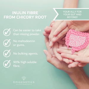 Inulin Fibre Supplement from Chicory Root | 120 Capsules | Prebiotic Gut Health Supplements | Increase Fibre Intake & Support Digestion | Vegan Friendly UK Made | 1 Capsule Daily 4 Months Supply