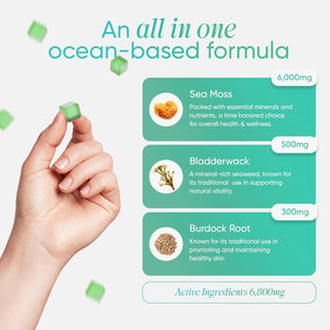 Revigr, Max 6000Mg, 90 Sea Moss Gummies, Added 500Mg Bladderwrack & 300Mg Burdock Root, Immune & Gut Support, Vegan & Sugar-Free, Green Apple Flavour (1 Month Supply)