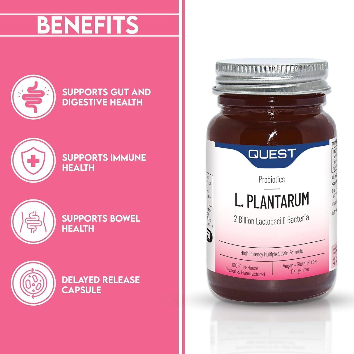 Quest L Plantarum Probiotic Capsules 2 Billion CFU for Immune & Digestive Support. Helps Restore Gut Friendly Bacteria & Regulate Immune Responses. Vegan & Gluten Free (90 Capsules)